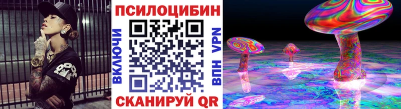 Псилоцибиновые грибы Psilocybine cubensis  Старица 